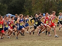 2010CIF XC BD5-0900